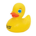 Large Rubber Duck